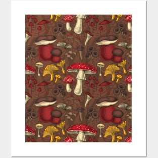 Wild mushrooms on brown Posters and Art